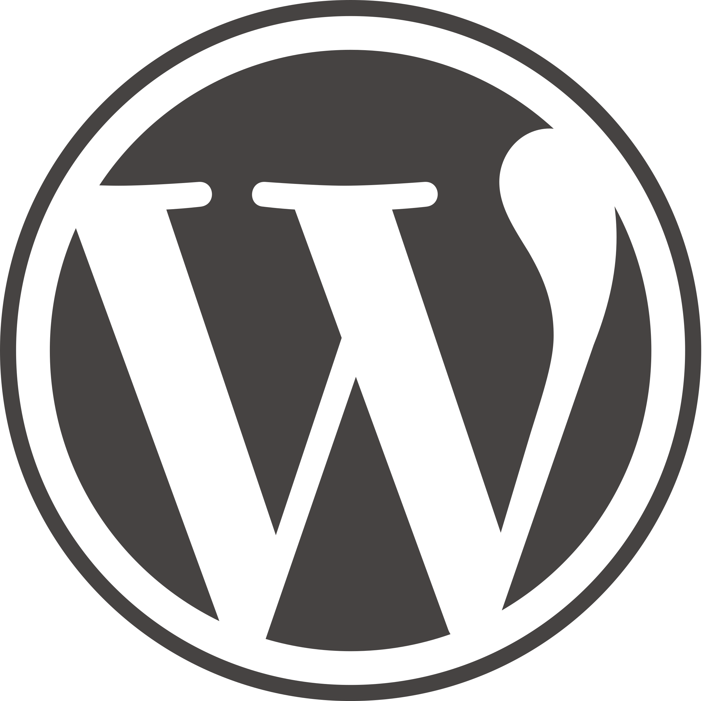 Logo Wordpress